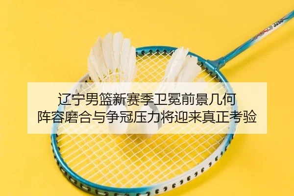 辽宁男篮新赛季卫冕前景几何 阵容磨合与争冠压力将迎来真正考验